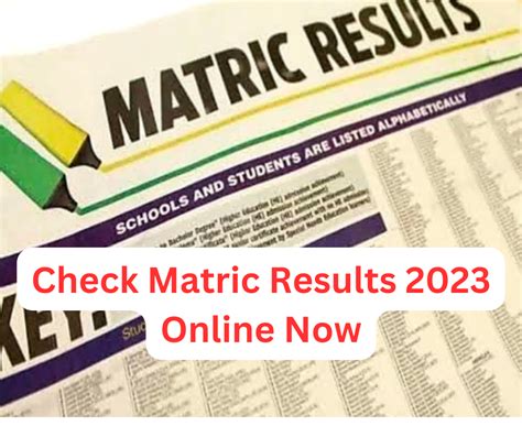Western Cape Matric Results 2023 online check – Matric results 2023.